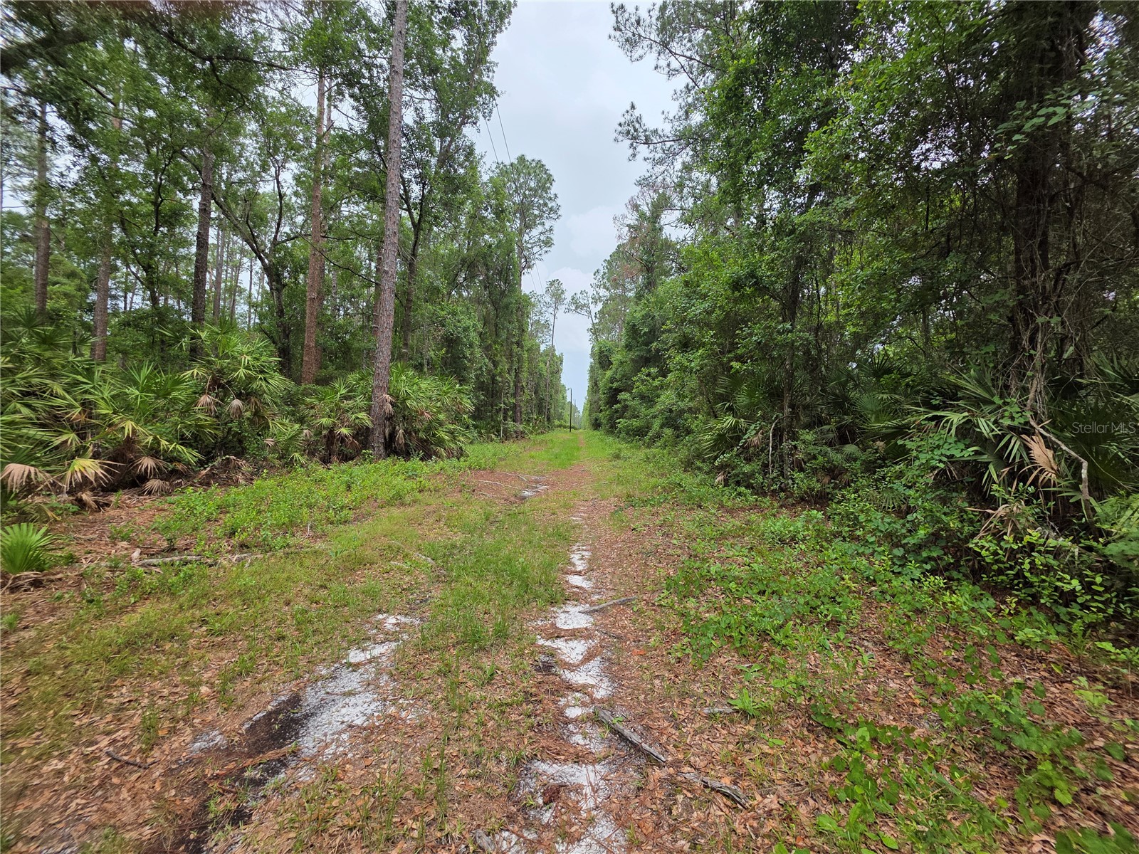 00 NE 66th Court Citra FL 32113 OM722600 image6