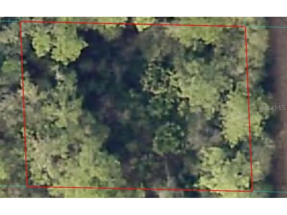 00 NE 66th Court Citra FL 32113 OM722600 image7