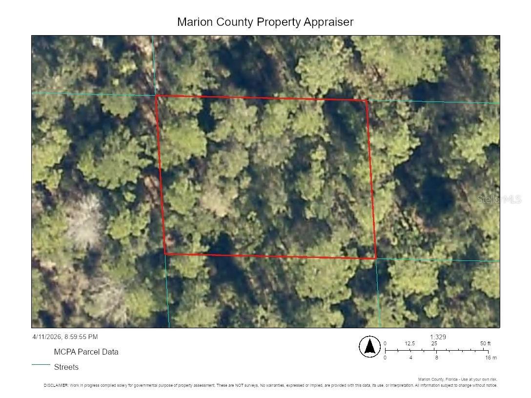 00 NE 69th Avenue Citra FL 32113 OM722603 image1