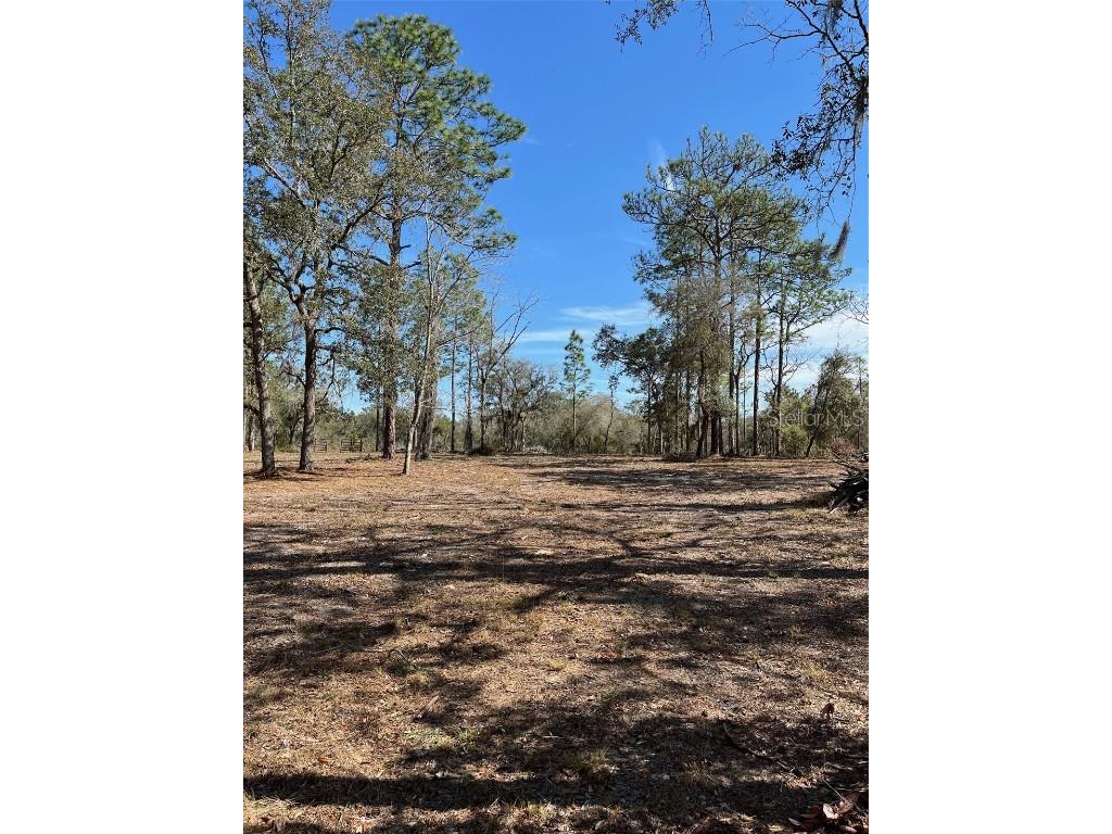 00 NE 6th Street Williston FL 32696 G5092659 image1