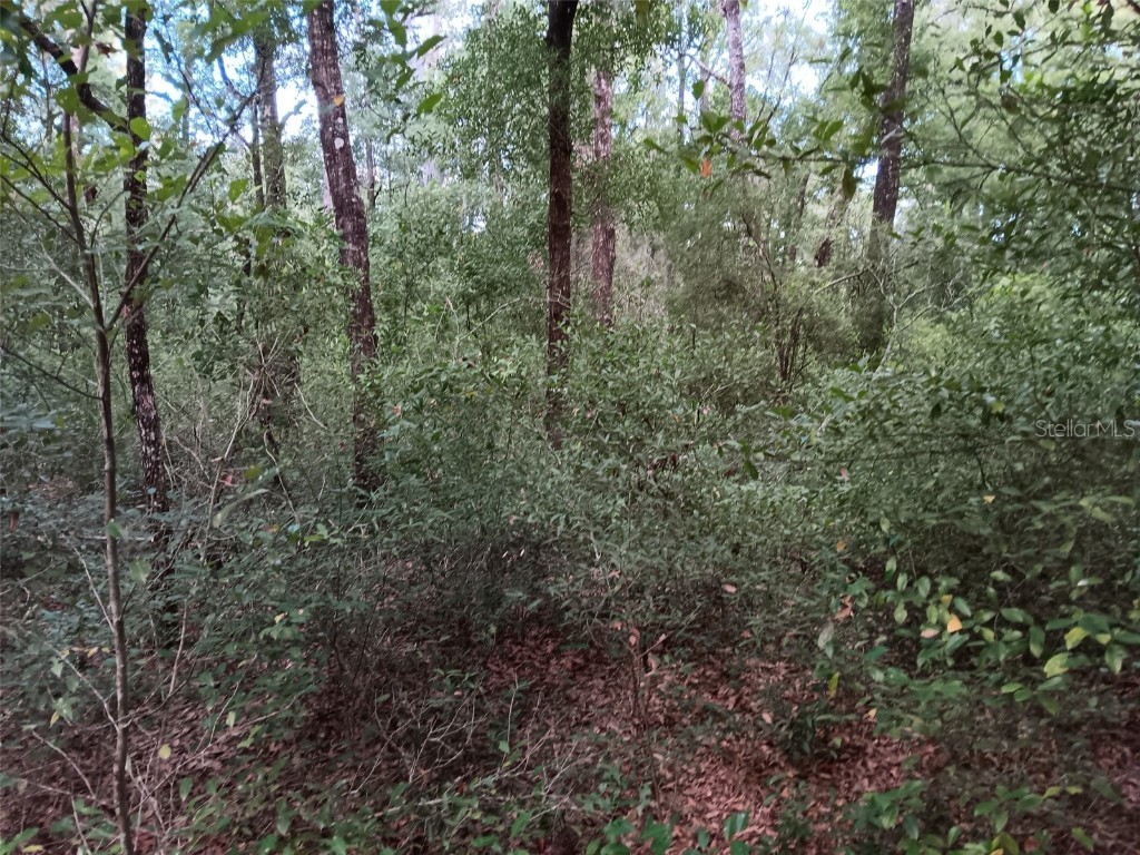 00 NE 7 Street Williston FL 32696 OM681022 image1