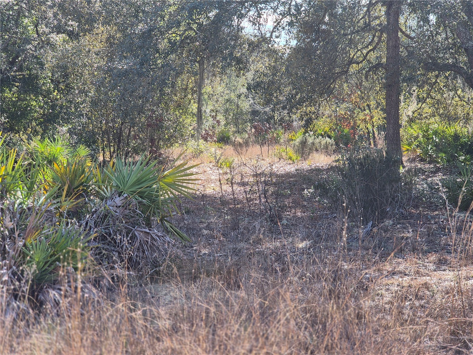 00 NE 78th Lane Bronson FL 32621 OM717092 image2
