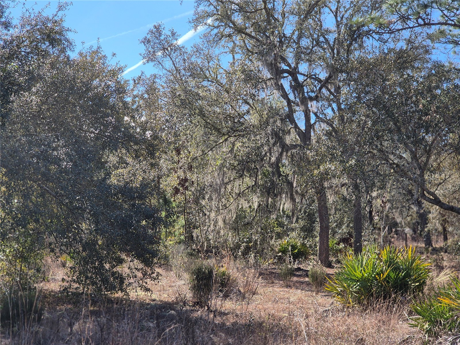00 NE 78th Lane Bronson FL 32621 OM717092 image3