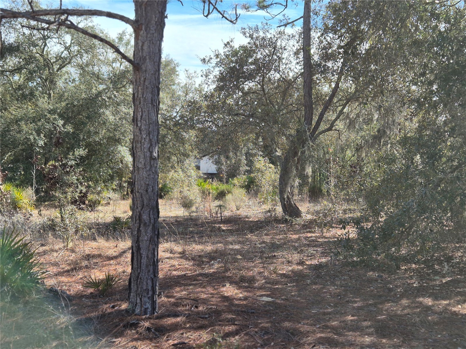 00 NE 78th Lane Bronson FL 32621 OM717092 image6