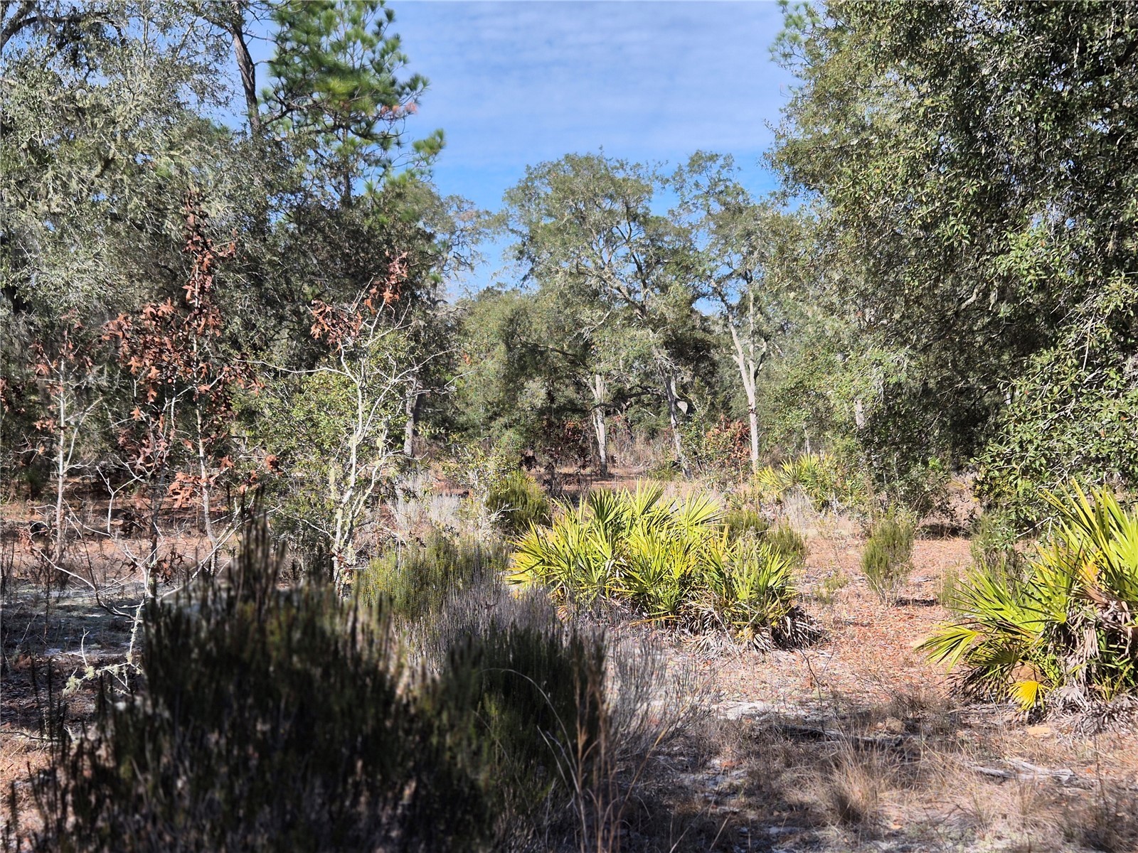 00 NE 78th Lane Bronson FL 32621 OM717092 image8