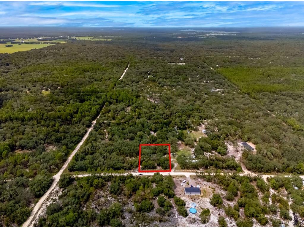 00 NE 82nd Place Bronson FL 32621 OM709054 image2