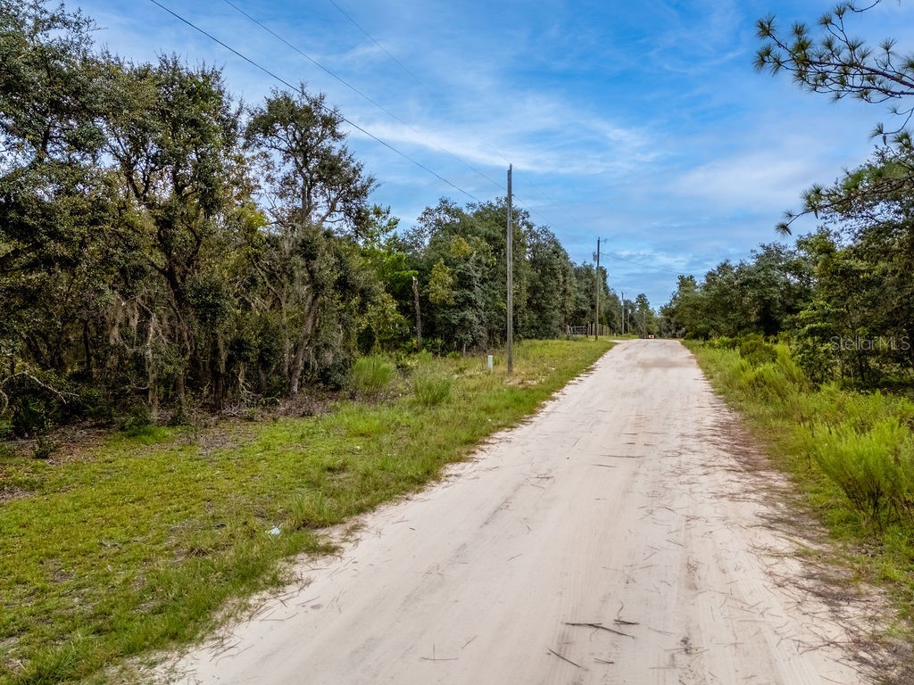 00 NE 82nd Place Bronson FL 32621 OM709054 image3