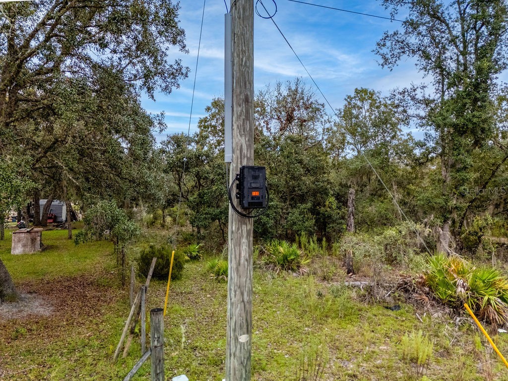 00 NE 82nd Place Bronson FL 32621 OM709054 image5