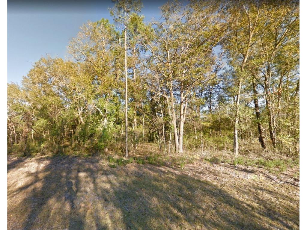 00 NE 83 Lane Bronson FL 32621 A4566116 image1