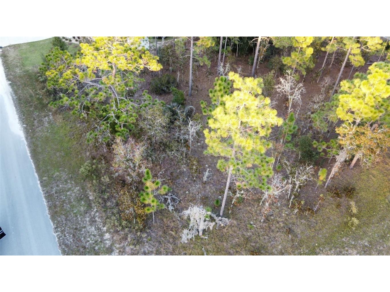 00 NE 9th Street Williston FL 32696 GC535313 image3