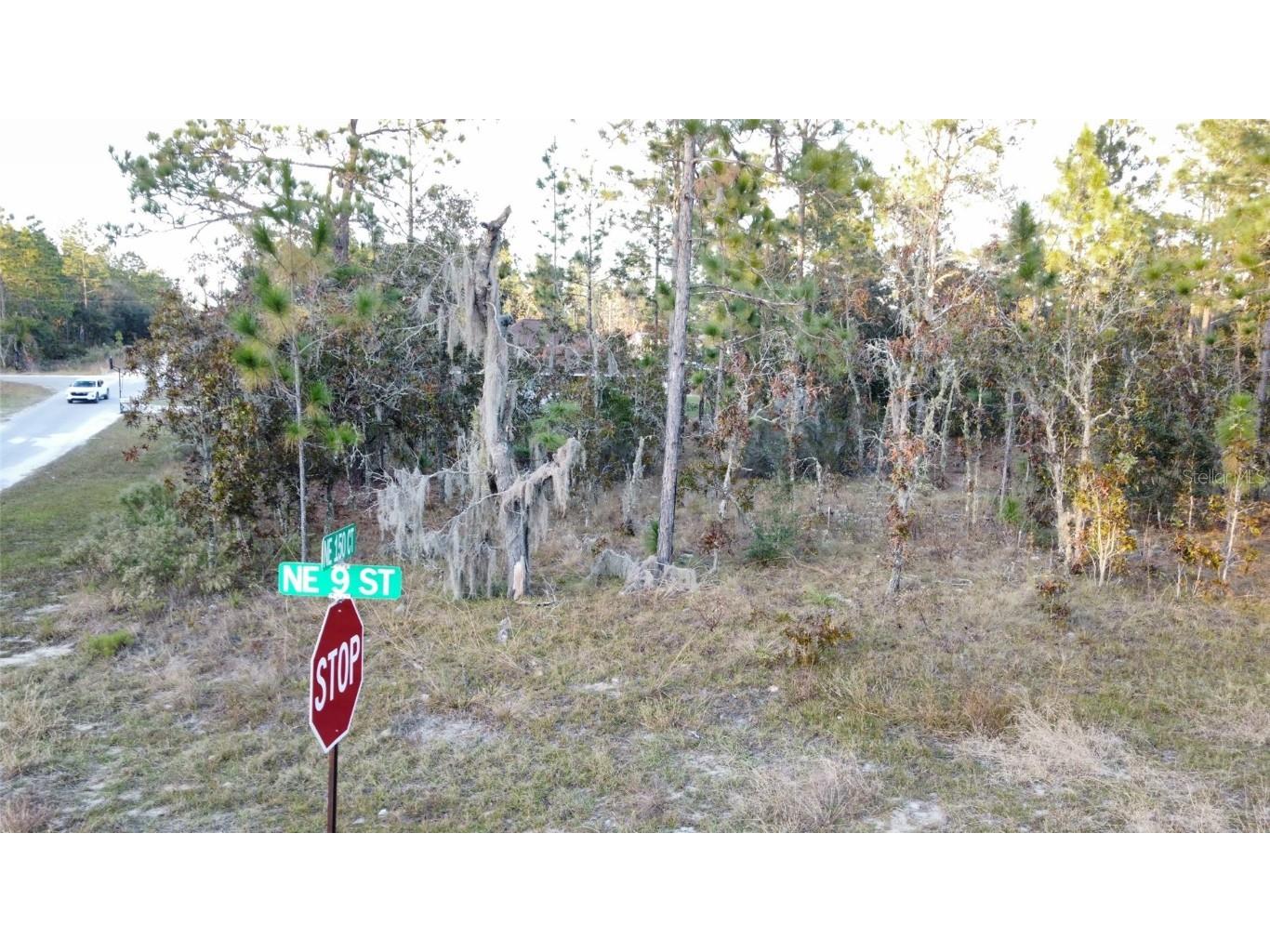 00 NE 9th Street Williston FL 32696 GC535313 image4