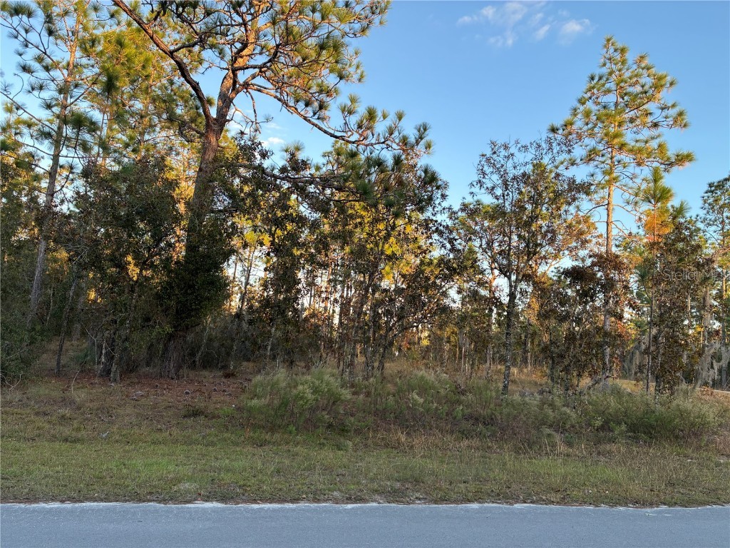 00 NE 9th Street Williston FL 32696 GC535313 image5