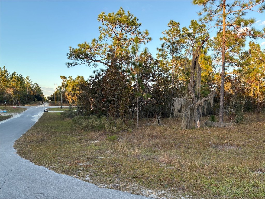 00 NE 9th Street Williston FL 32696 GC535313 image7