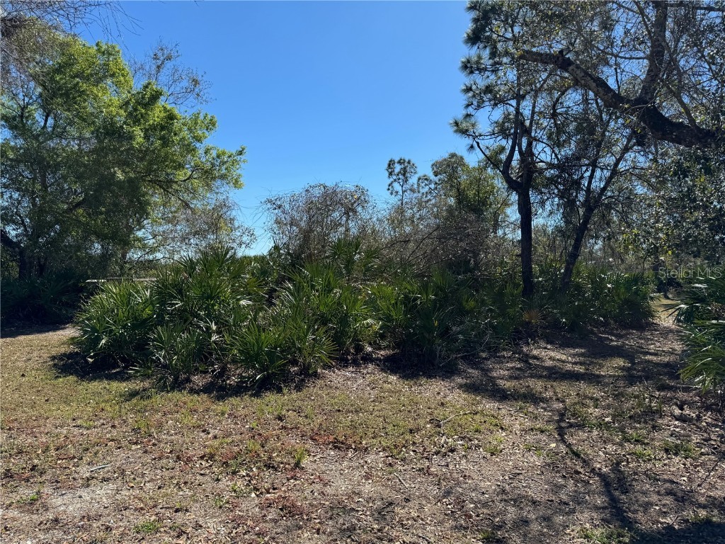 00 NE Country Ranches Road, Arcadia, FL, 34266 MLS C7487429 Edina