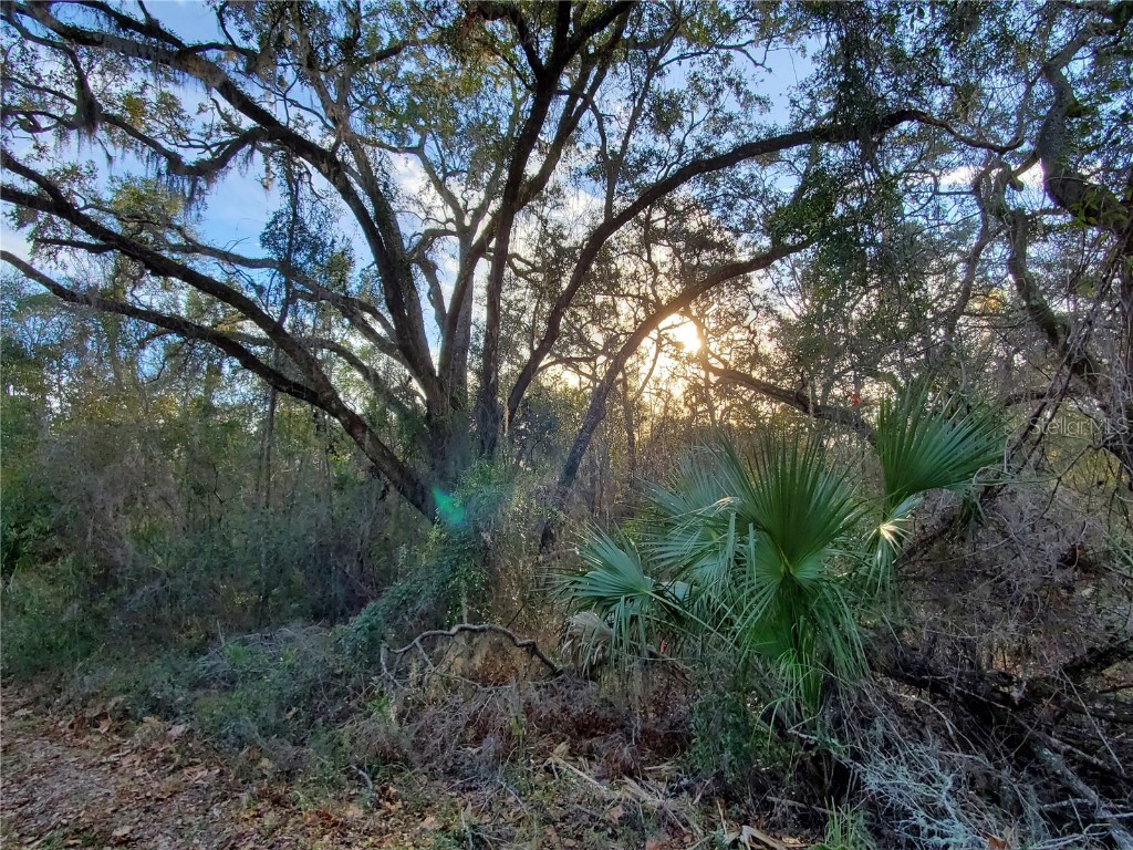 00 NE Gold Dust Road Branford FL 32008 GC518947 image1