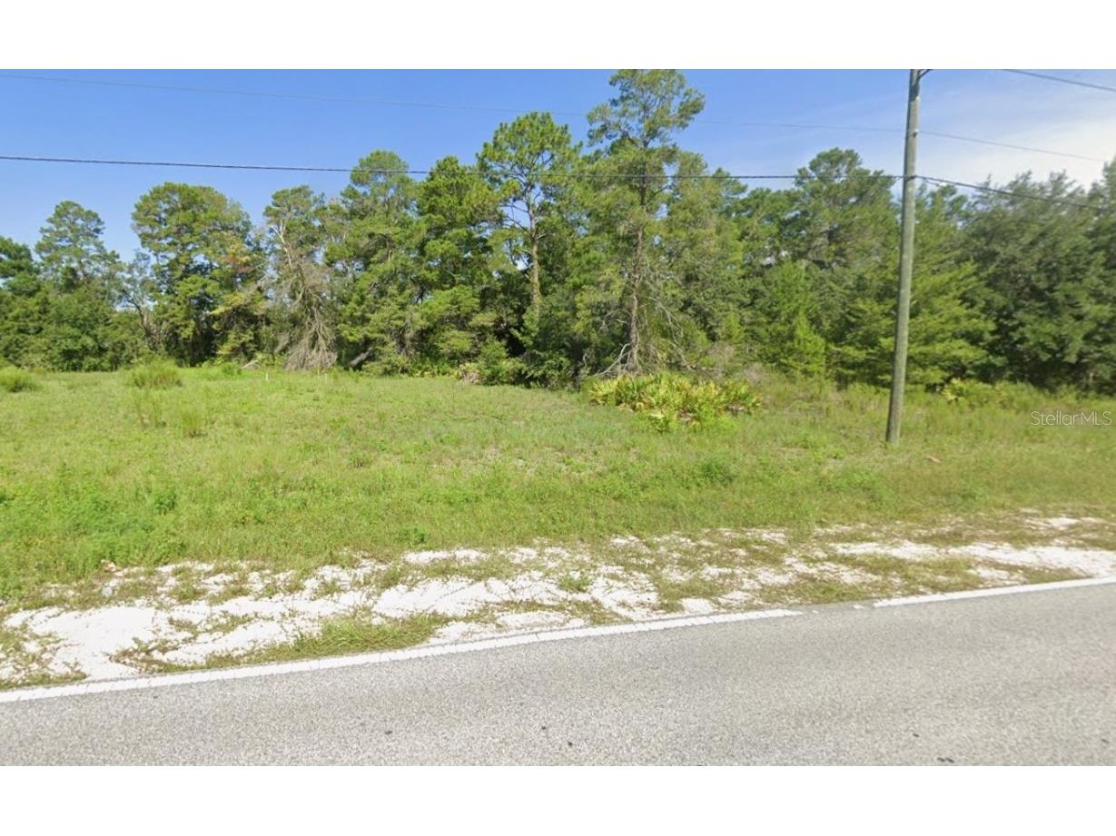 00 Nightwalker Road Weeki Wachee FL 34613 G5105840 image1