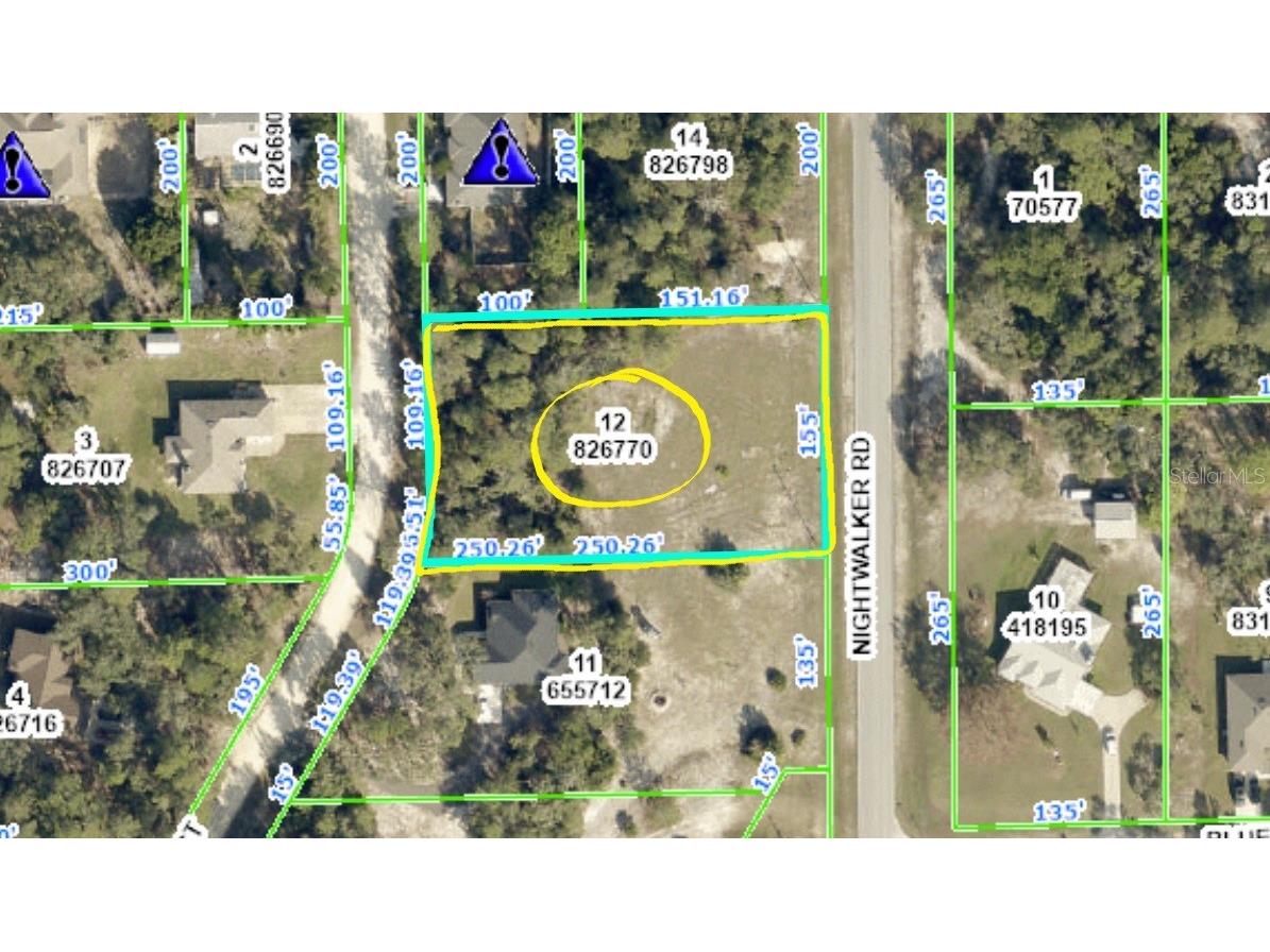 00 Nightwalker Road Weeki Wachee FL 34613 G5105840 image3