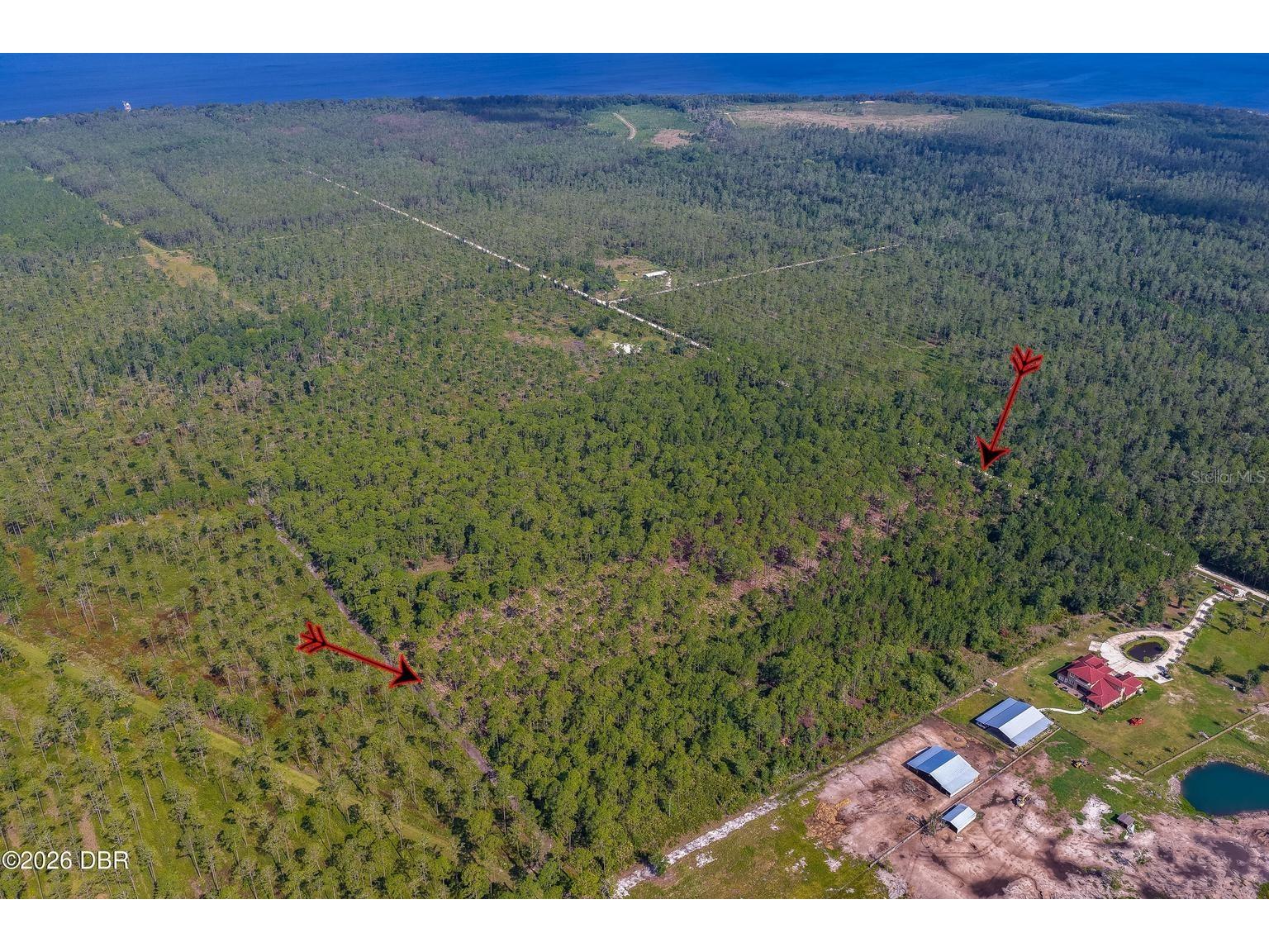 00 Ninemile Point Road Pierson FL 32180 V4950378 image10