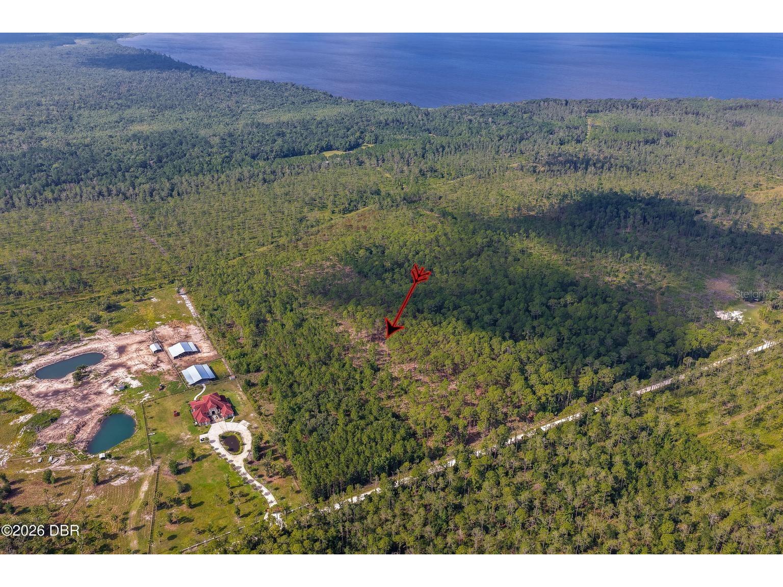 00 Ninemile Point Road Pierson FL 32180 V4950378 image11