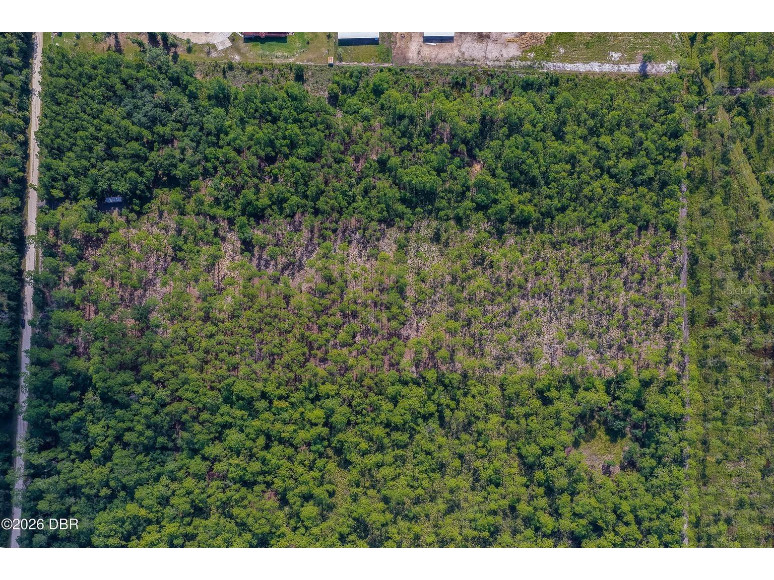 00 Ninemile Point Road Pierson FL 32180 V4950378 image12