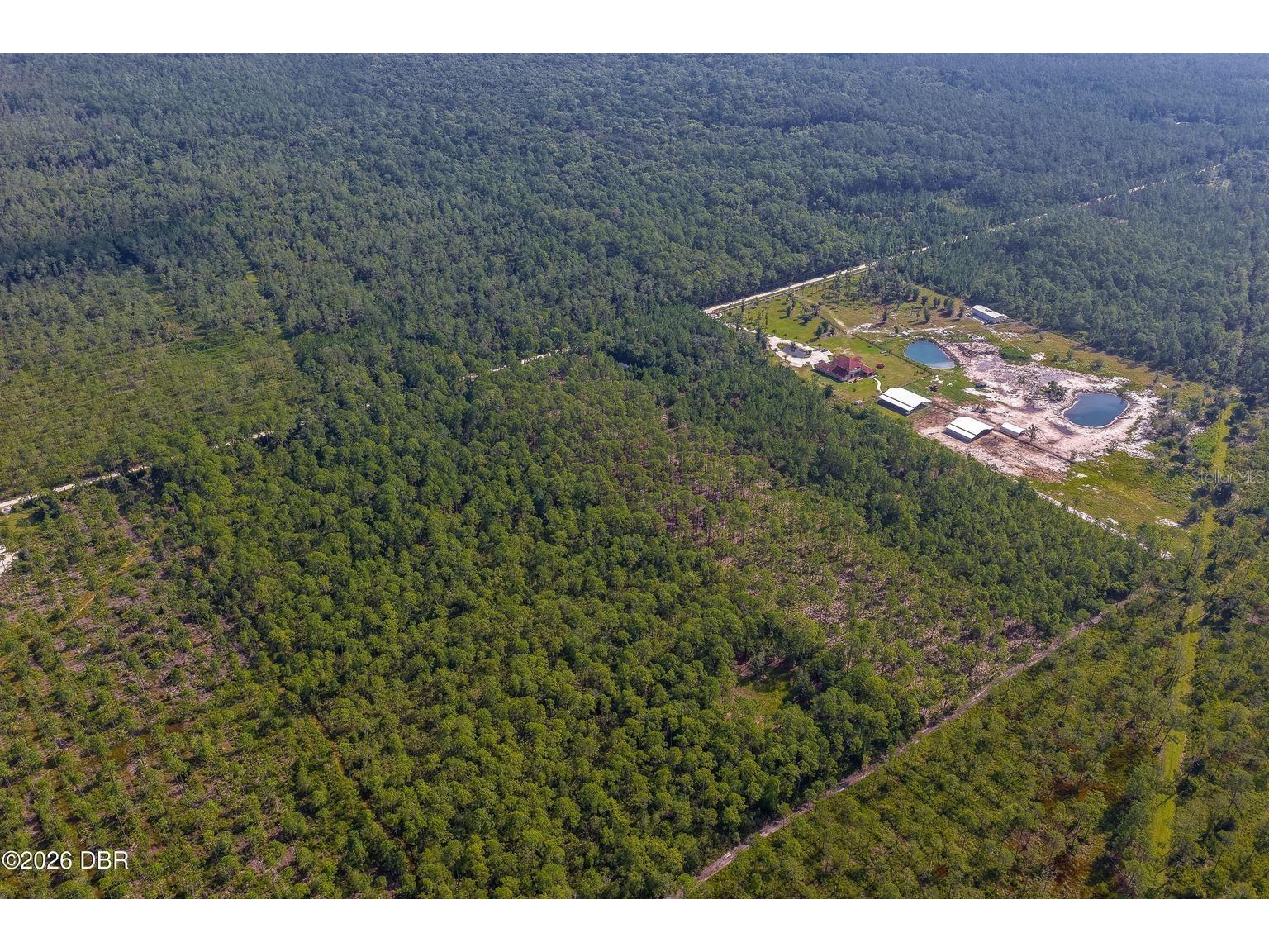 00 Ninemile Point Road Pierson FL 32180 V4950378 image16