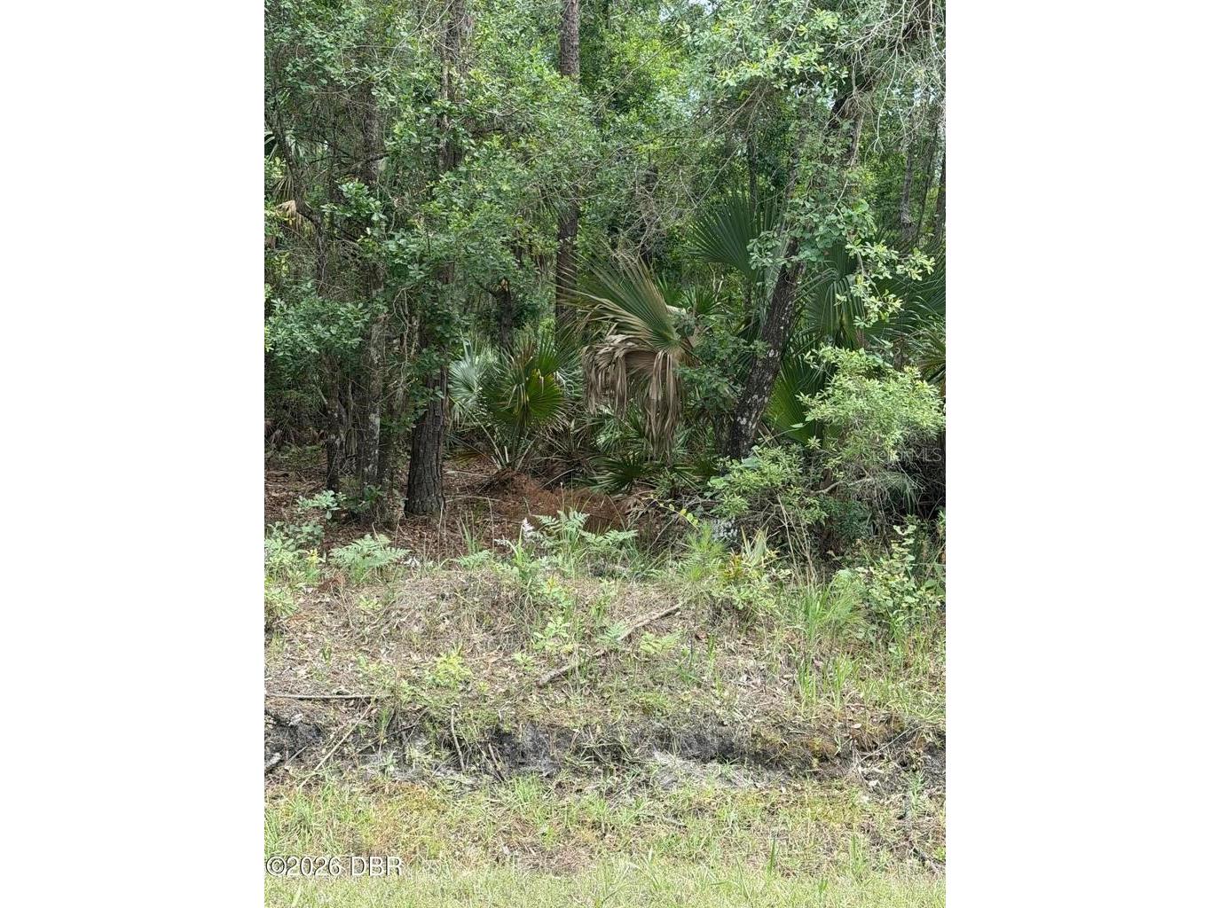 00 Ninemile Point Road Pierson FL 32180 V4950378 image3