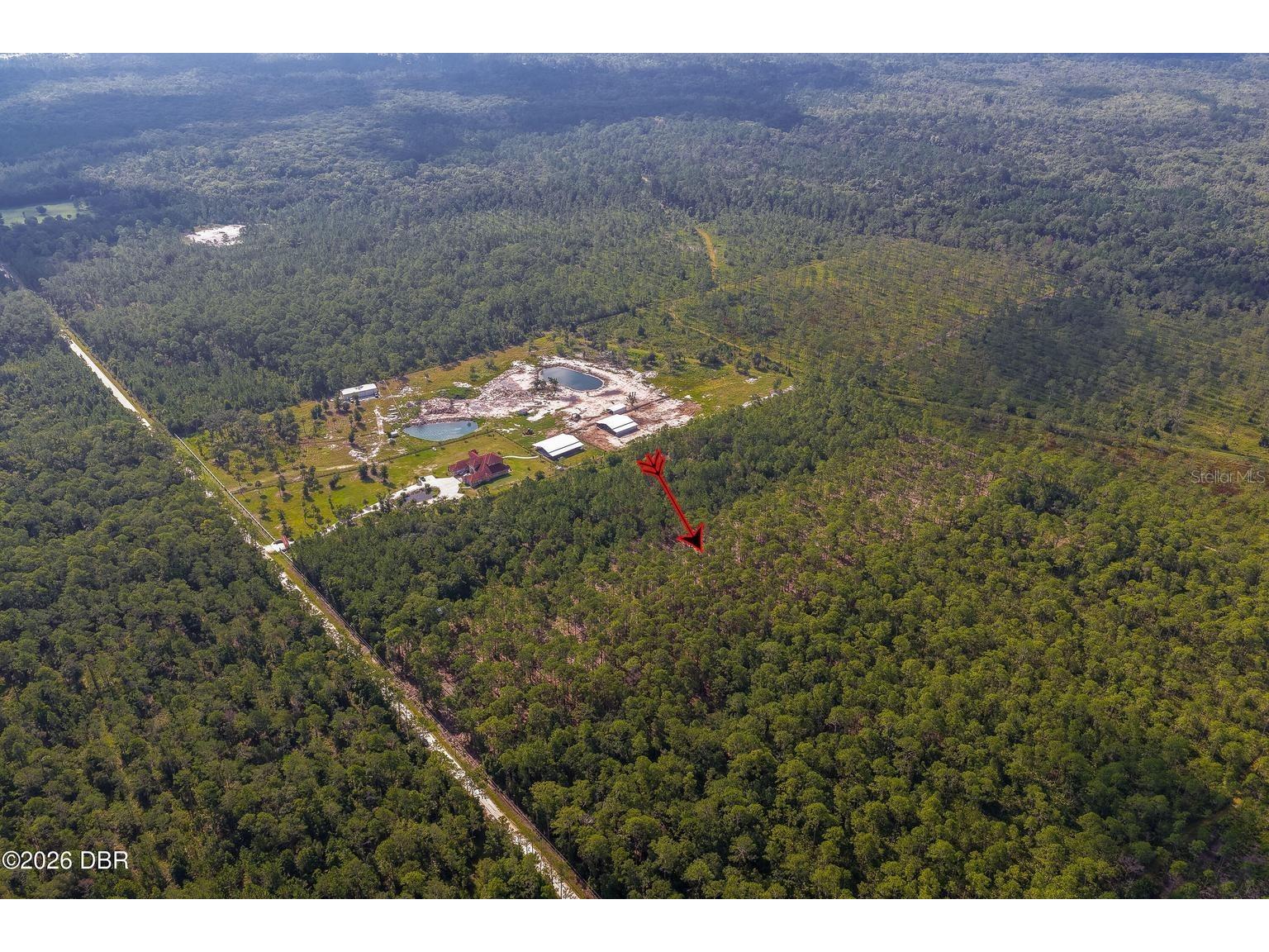 00 Ninemile Point Road Pierson FL 32180 V4950378 image6