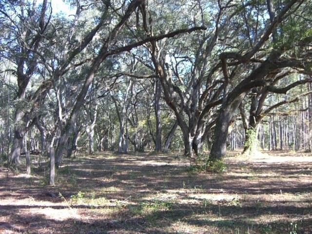 00 No Name Road Cross City FL 32680 FC264918 image2