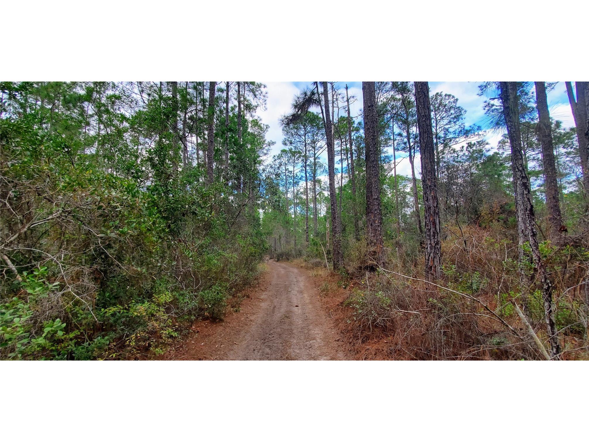 00 No Street Deland FL 32724 TB8471028 image1