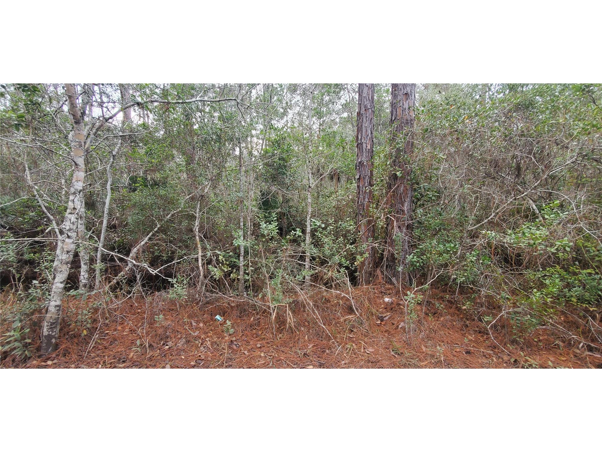 00 No Street Deland FL 32724 TB8471028 image2