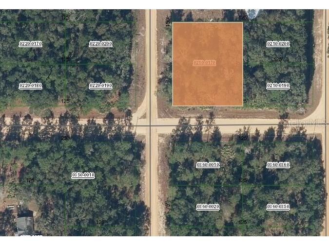 00 Norman Avenue Interlachen FL 32148 OM696449 image1