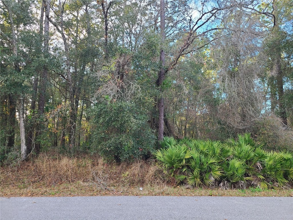 00 NW 118th Terrace Ocala FL 34482 OM669628 image1