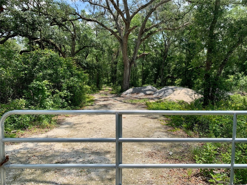 00 NW 127th Ct Ocala FL 34482 OM659364 image1