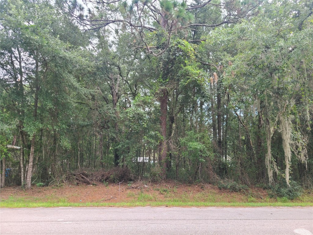 00 NW 13th Street Ocala FL 34482 OM662891 image1