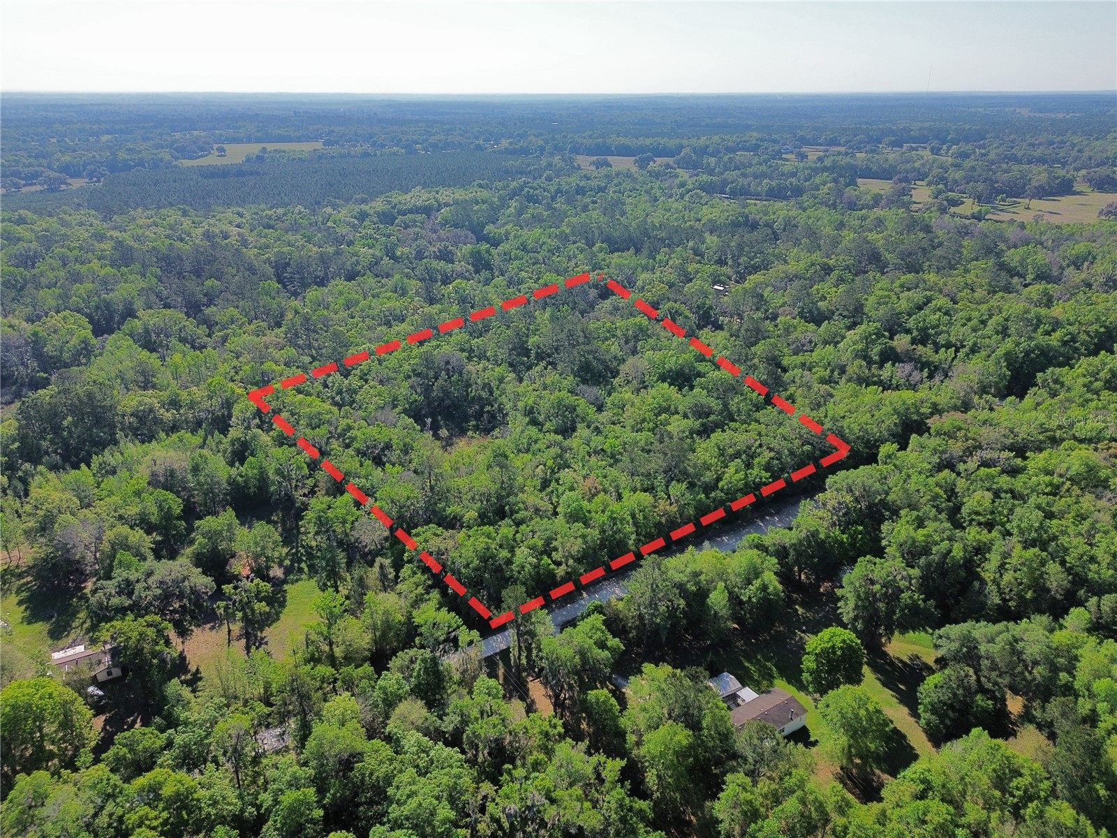 00 NW 144th Avenue Williston FL 32696 OM721657 image1