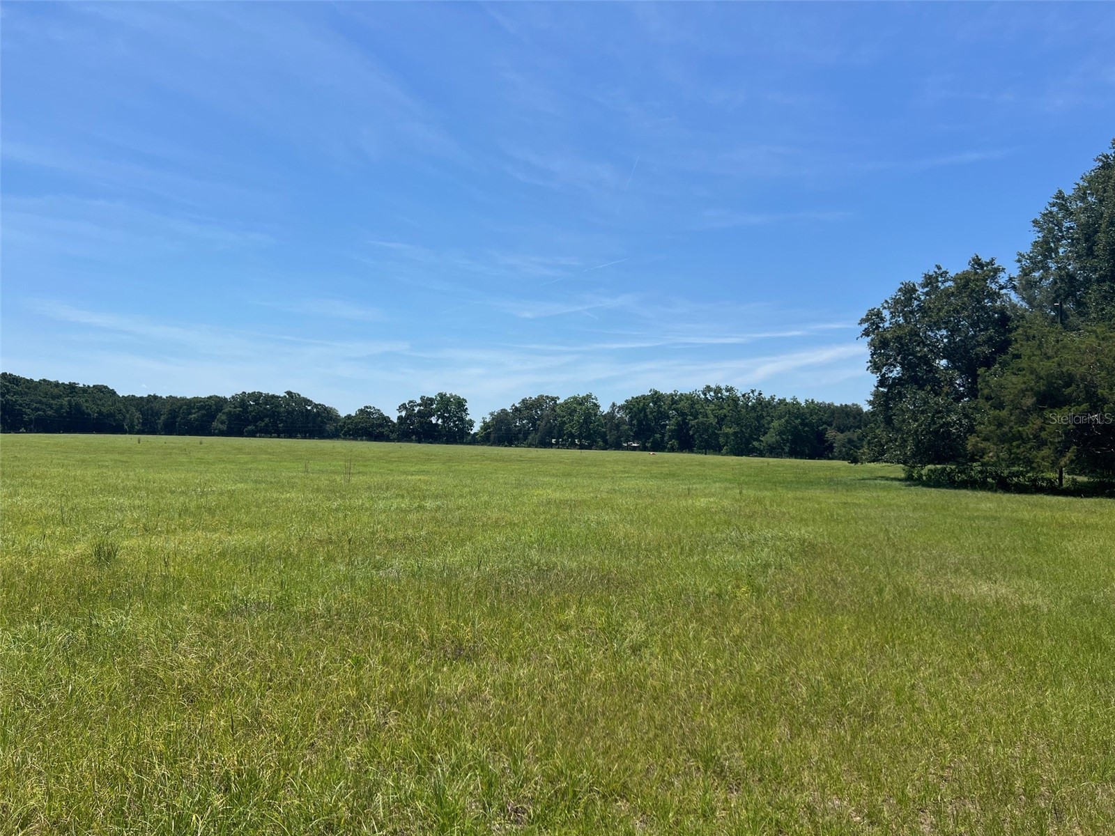00 NW 165th Avenue High Springs FL 32643 GC536557 image4