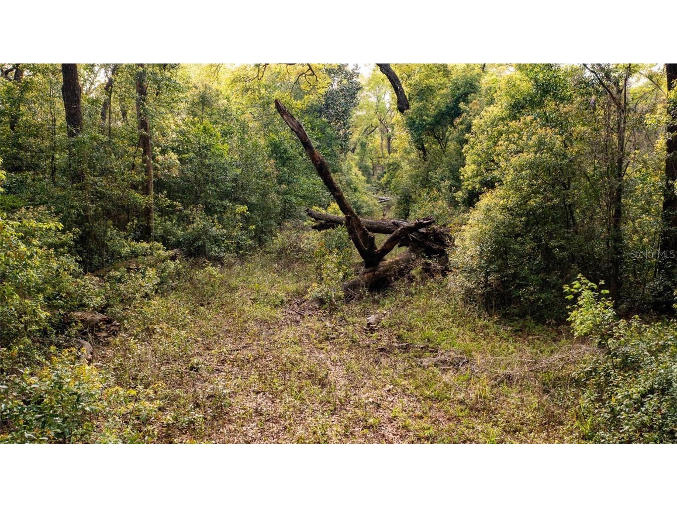 00 NW 177th Place High Springs FL 32643 GC520223 image1