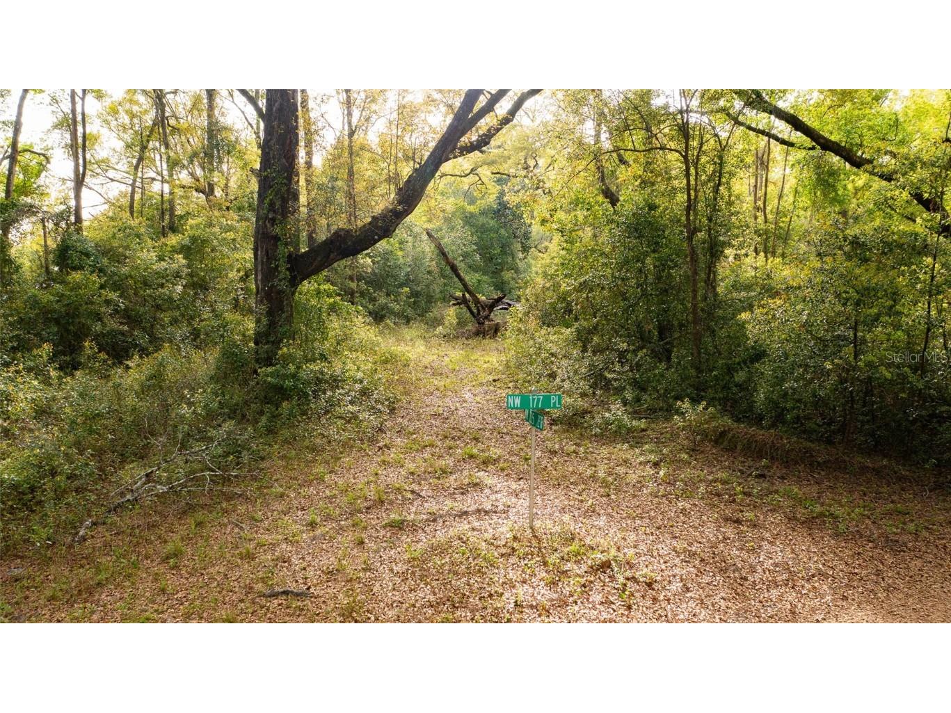 00 NW 177th Place High Springs FL 32643 GC520223 image3