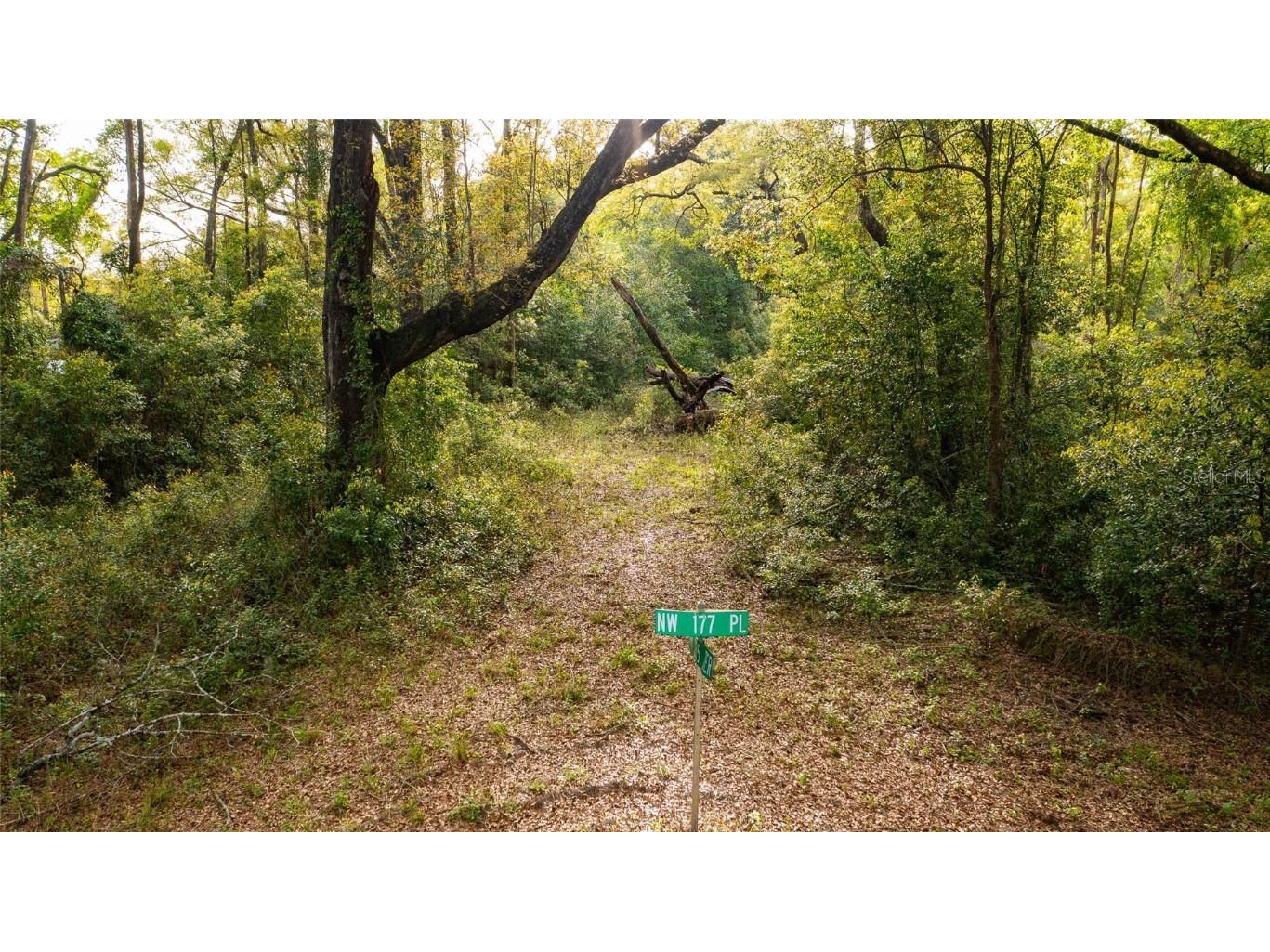 00 NW 177th Place High Springs FL 32643 GC520223 image5