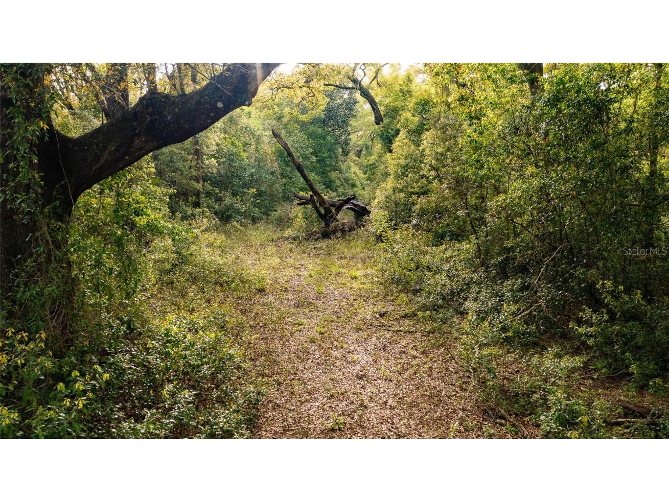 00 NW 177th Place High Springs FL 32643 GC520223 image6