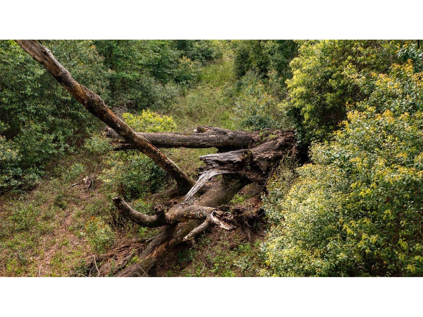 00 NW 177th Place High Springs FL 32643 GC520223 image7