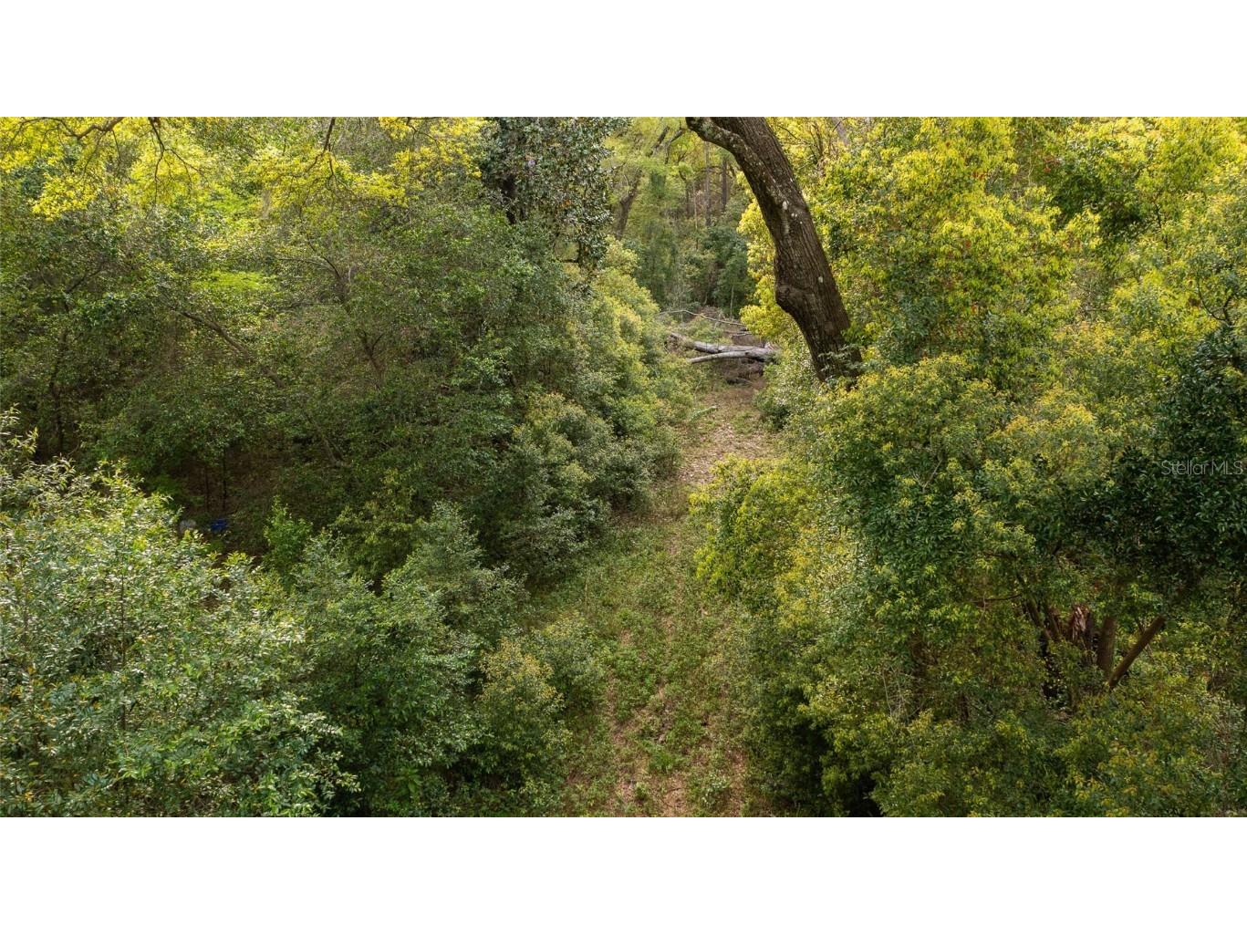 00 NW 177th Place High Springs FL 32643 GC520223 image8