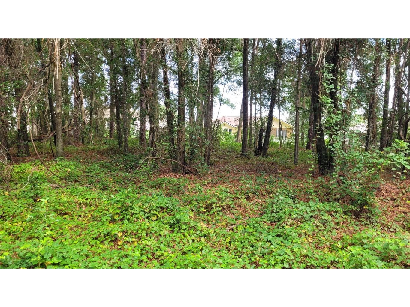 00 NW 17th Street Ocala FL 34482 OM645515 image1