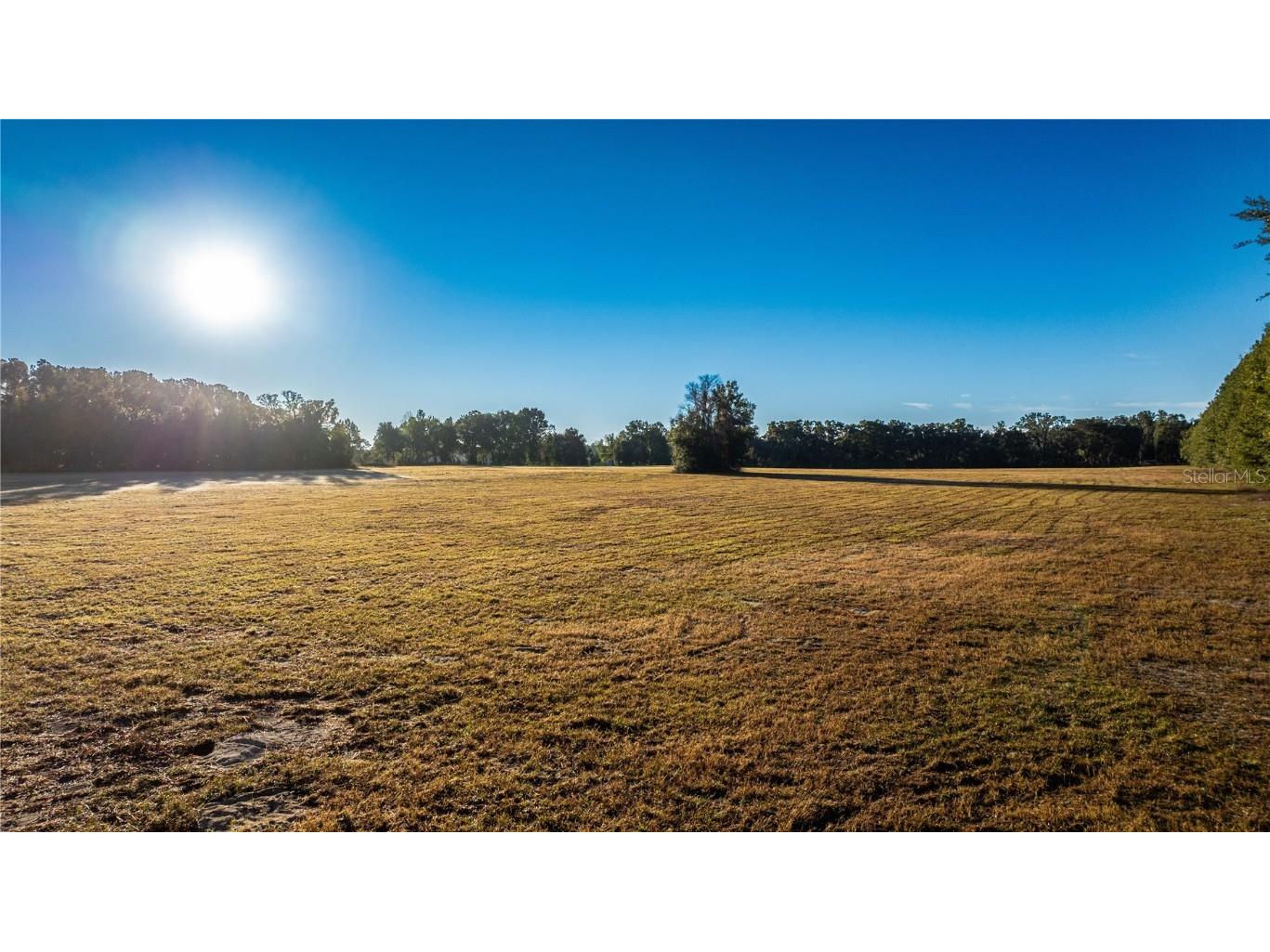 00 NW 180th St Williston FL 32696 OM715449 image2