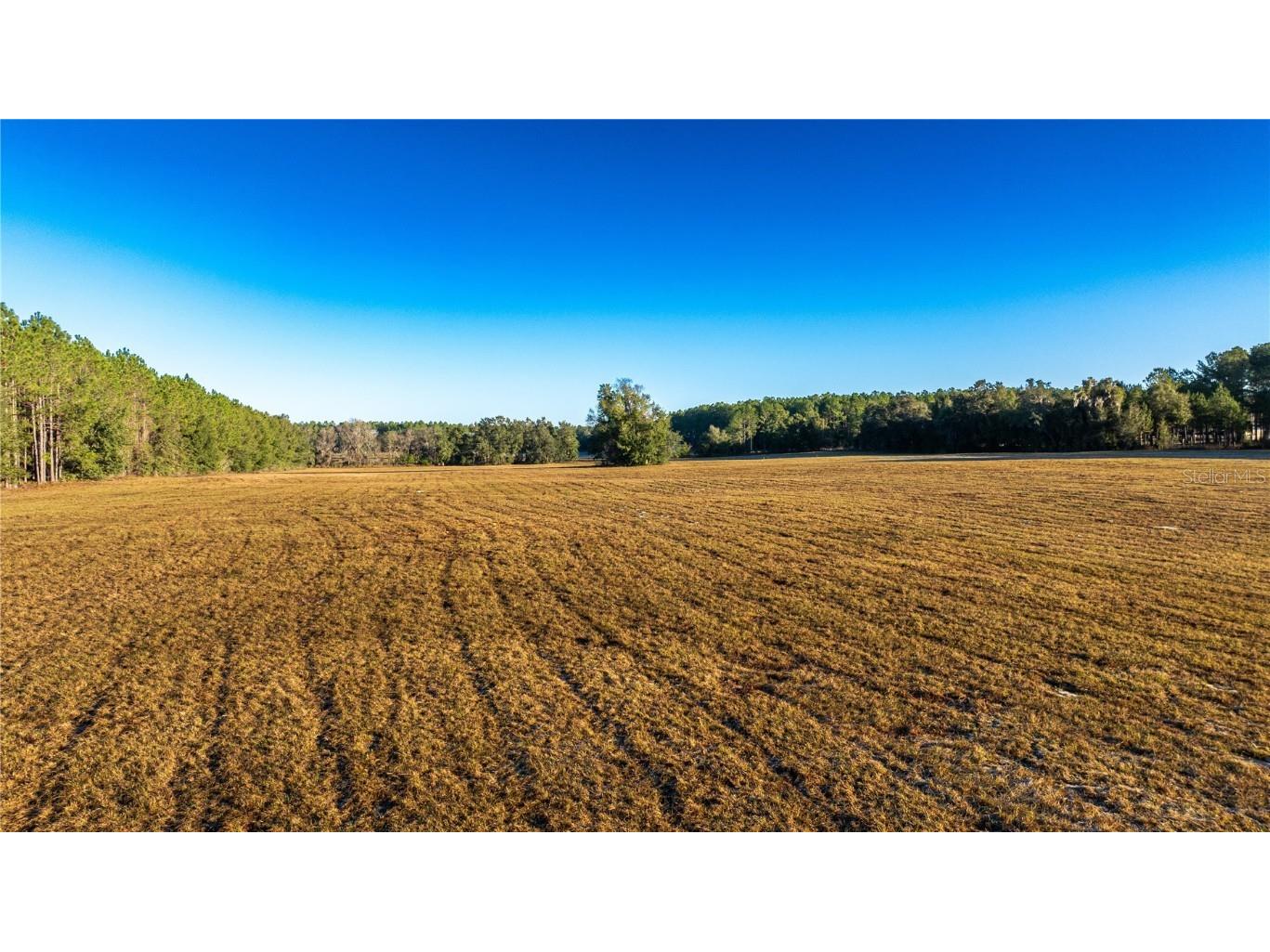00 NW 180th St Williston FL 32696 OM715449 image3