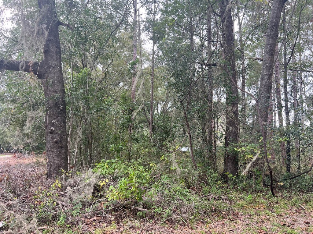 00 NW 187th Road High Springs FL 32643 GC516495 image3