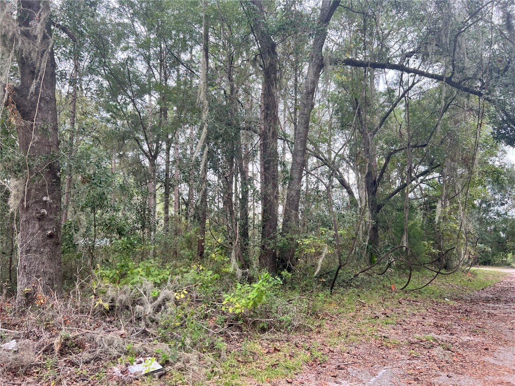 00 NW 187th Road High Springs FL 32643 GC516495 image4