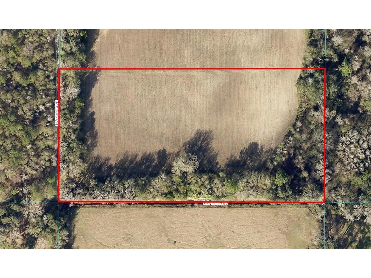 00 NW 197th Place Micanopy FL 32667 O6087849 image1