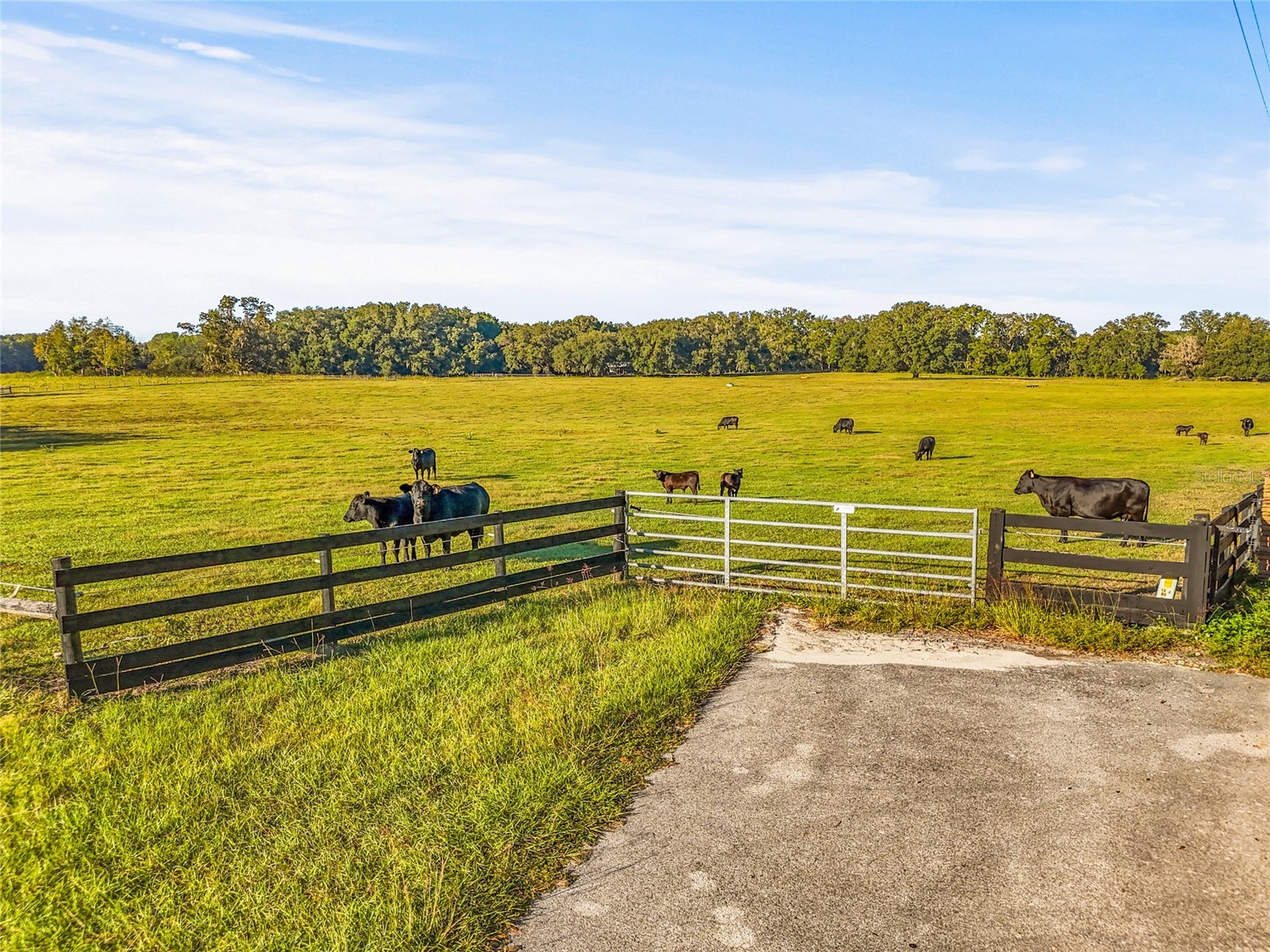 00 NW 232nd Street High Springs FL 32643 GC535051 image1