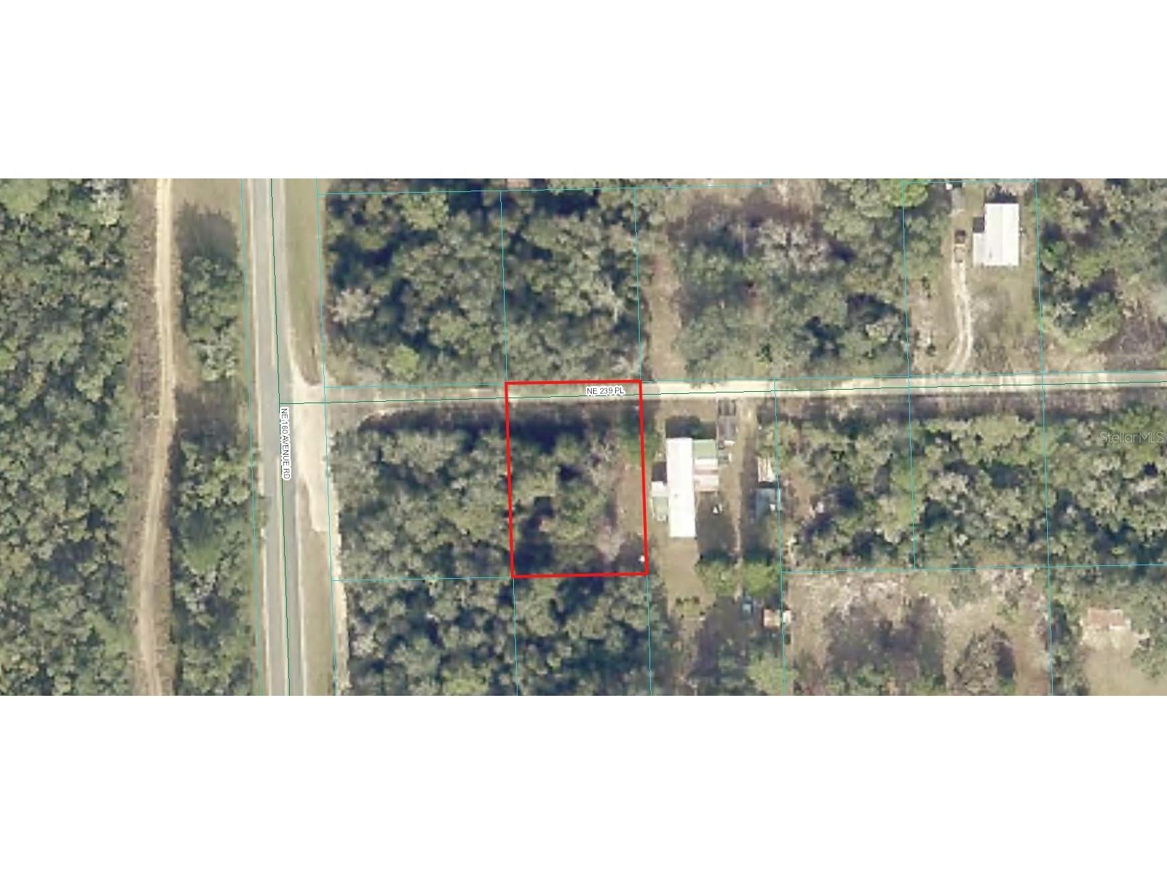 00 NW 239th Place Fort Mc Coy FL 32134 OM692134 image1